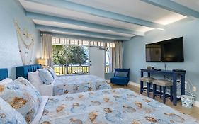Come Stay Where The Dolphins Play!